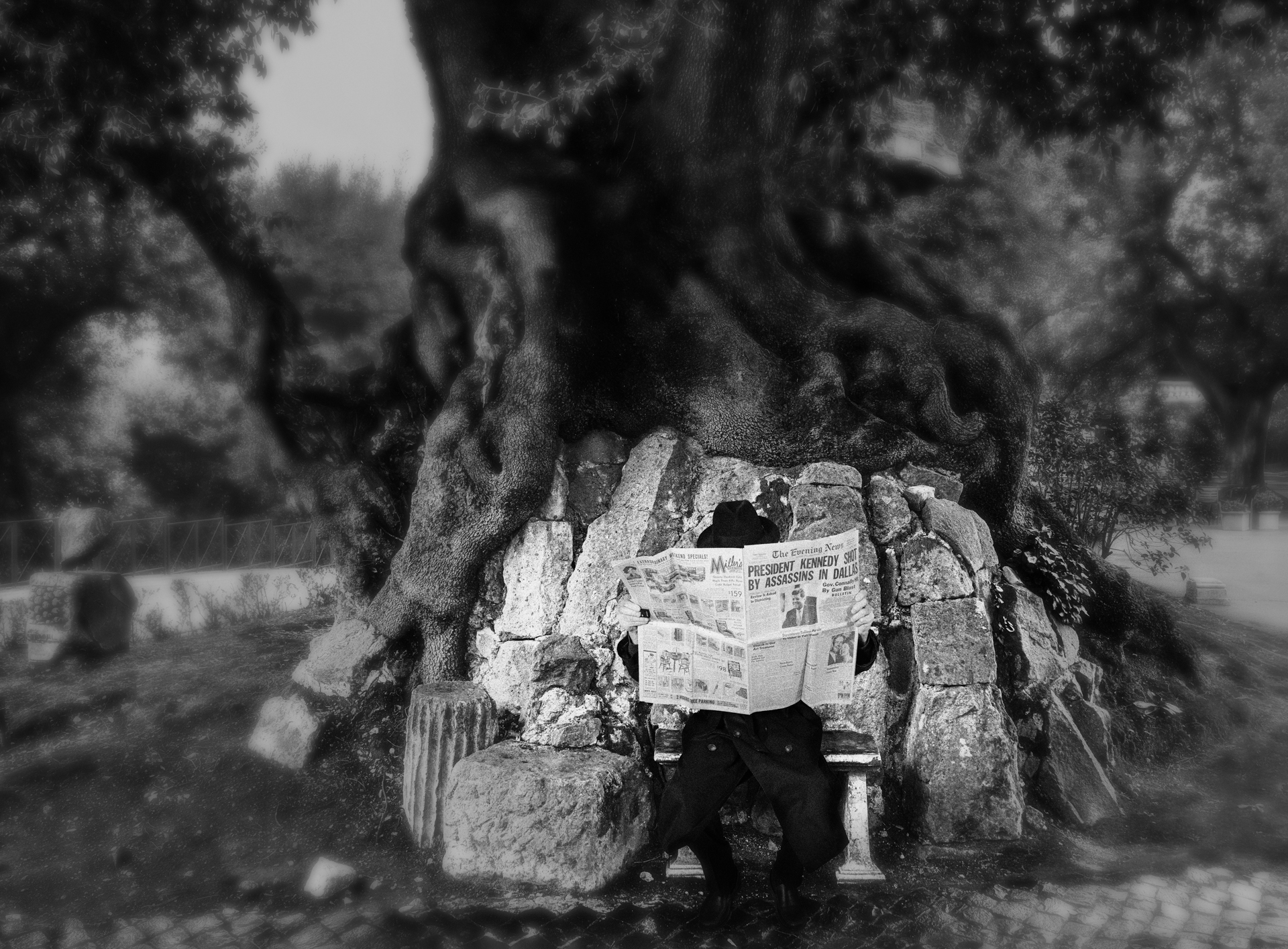 Ancient-Tree-Castle-Gandolfo-with-Bench-and-Shadow-Man-BW