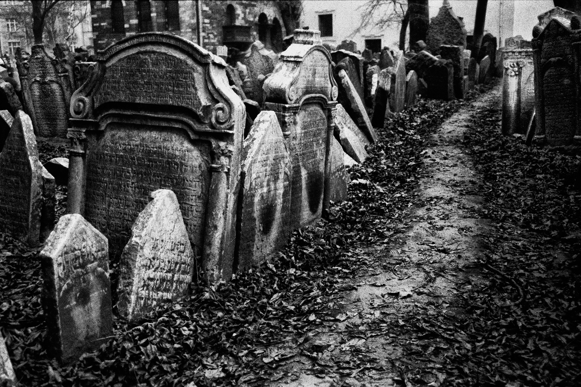Jewish-Cemetery-Prague-BW