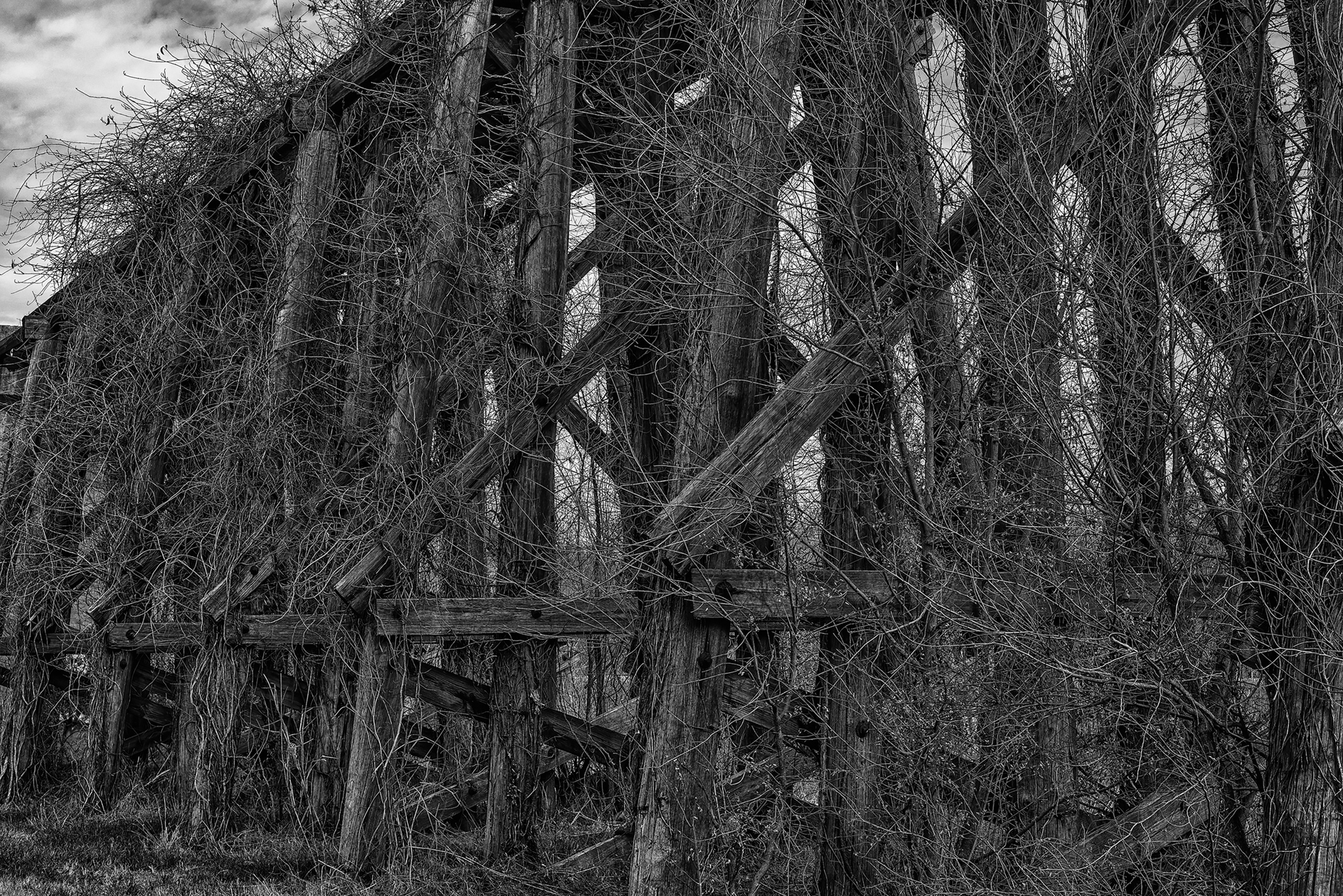 Santa-Fe-Bridge