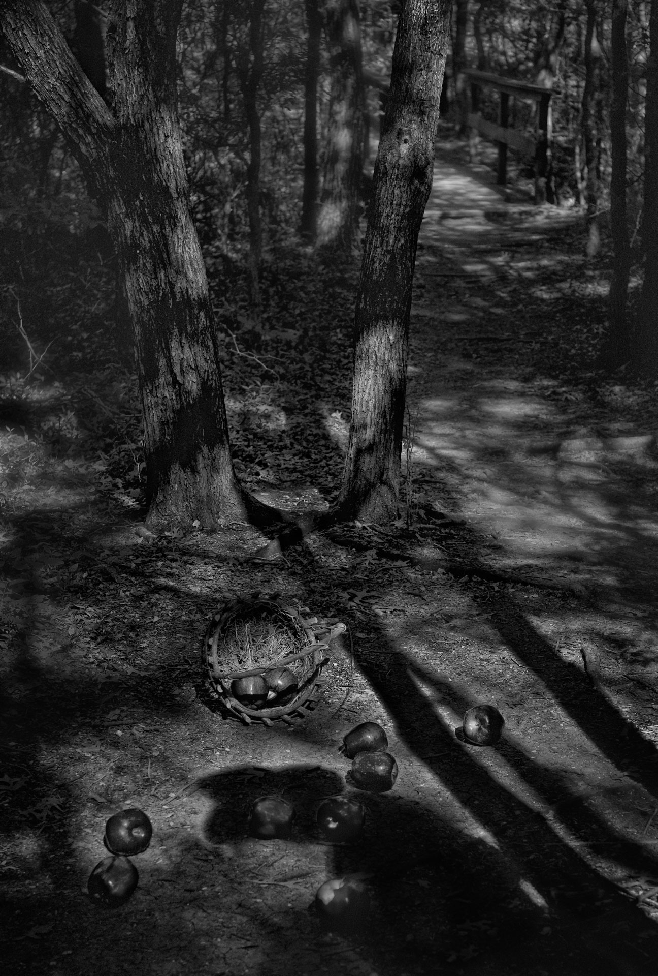 Spilled-Apples-Lift-upper-shadows
